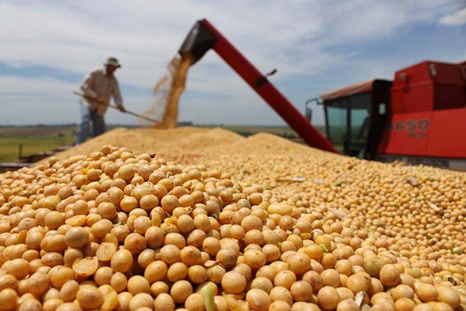 Estados atrelados ao agronegócio devem liderar alta do PIB em 2021 - News Rondônia