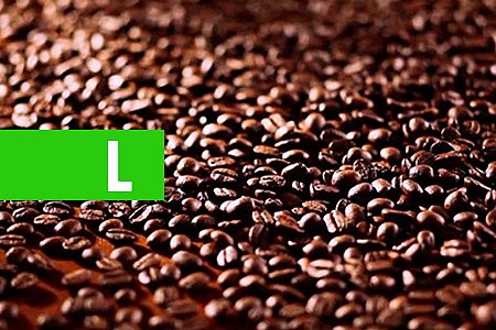 PRODUÇÃO DE CAFÉ É RECORDE COM 61,7 MILHÕES DE SACAS - News Rondônia