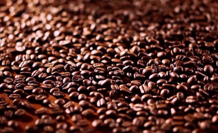 PRODUÇÃO DE CAFÉ É RECORDE COM 61,7 MILHÕES DE SACAS - News Rondônia