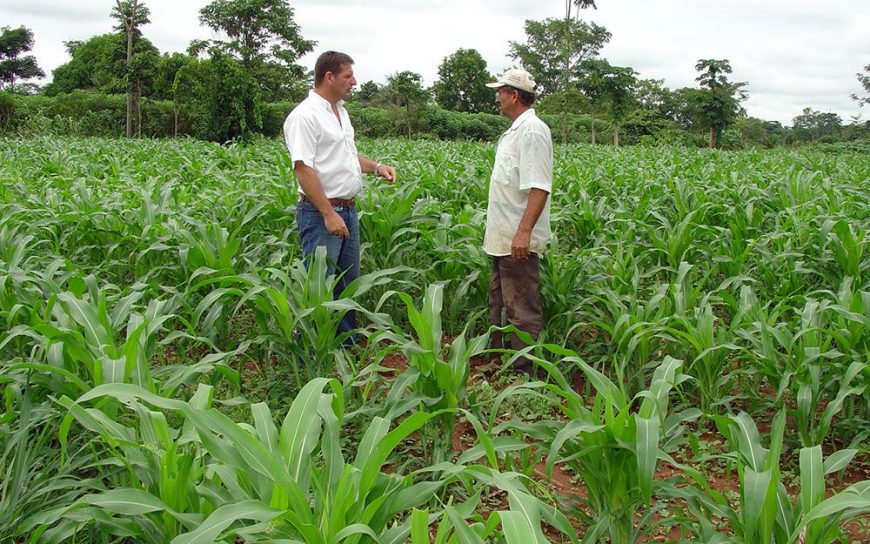 CORONAVÍRUS: PRODUTORES RURAIS E TRABALHADORES DO CAMPO TAMBÉM DEVEM SE PROTEGER - News Rondônia