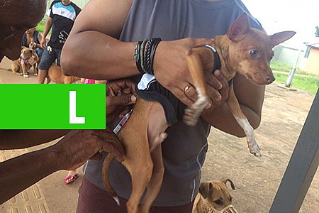 CAMPANHA DE VACINAÇÃO SERÁ DIA 17 DESTE MÊS EM PORTO VELHO - News Rondônia