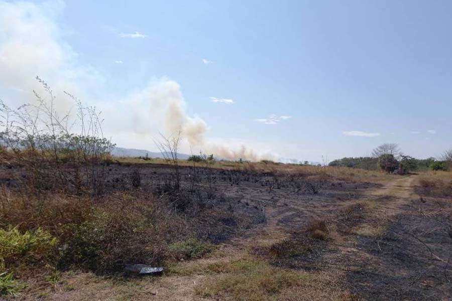 Queima de lixo pode ter provocado incêndio que destruiu parte de lavoura de milho em Cerejeiras - News Rondônia
