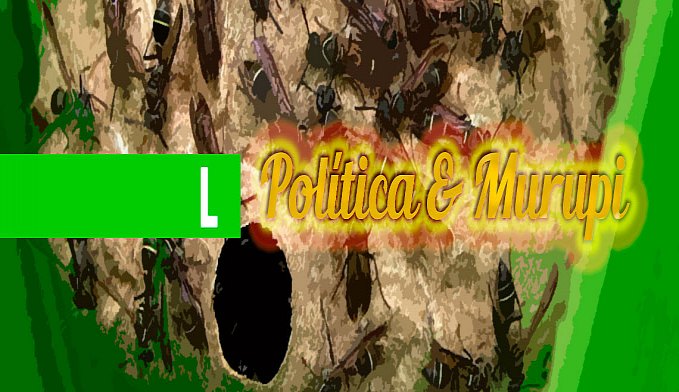 POLÍTICA & MURUPI: BACULEJO NA SEDAM - News Rondônia