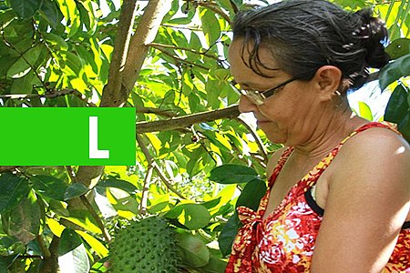 FORTALECER A AGRICULTURA FAMILIAR DE RONDÔNIA ATRAVÉS DE COOPERATIVAS É TEMA DE DISCUSSÃO ENTRE SETORES ESTRATÉGICOS DO AGRONEGÓCIO - News Rondônia