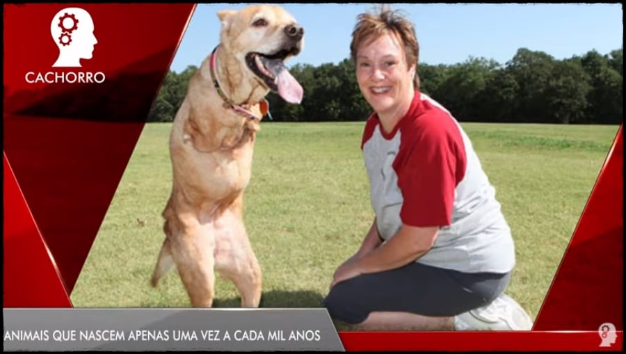 CURIOSIDADES: Animais que nascem apenas uma vez a cada mil anos - News Rondônia