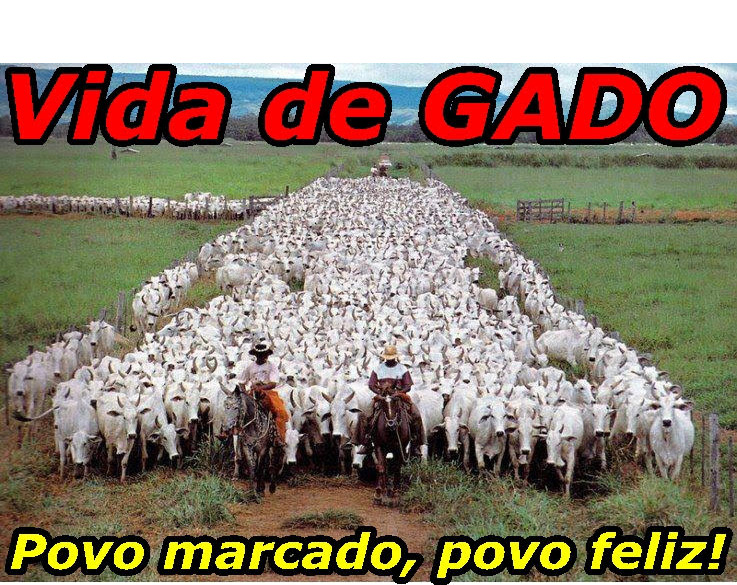 POVO ESCOLHIDO, POVO INFELIZ! - POR PROFESSOR NAZARENO* - News Rondônia