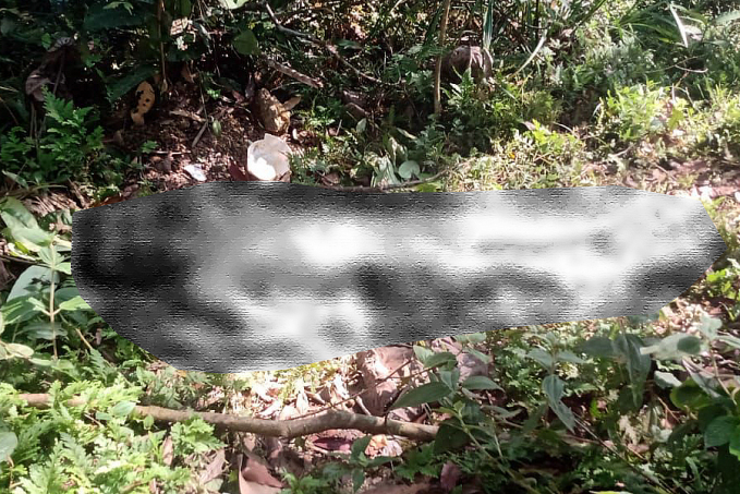 IMAGENS FORTES - Homem é espancado até a morte o corpo desovado em matagal - News Rondônia