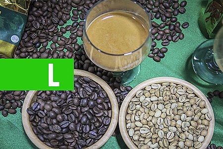 EXPOSIÇÕES ROBUSTA ROCKS SERÃO REALIZADAS EM CACOAL E JI-PARANÁ - News Rondônia