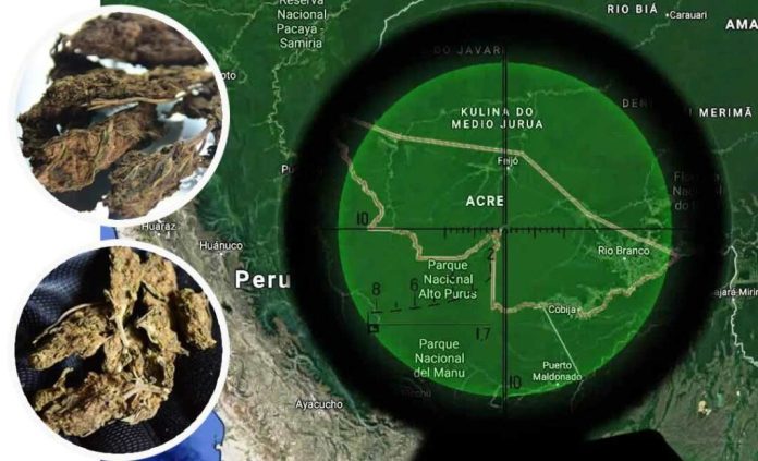 Maconha da Colômbia invade o mercado do Acre com a expansão do crime organizado - News Rondônia