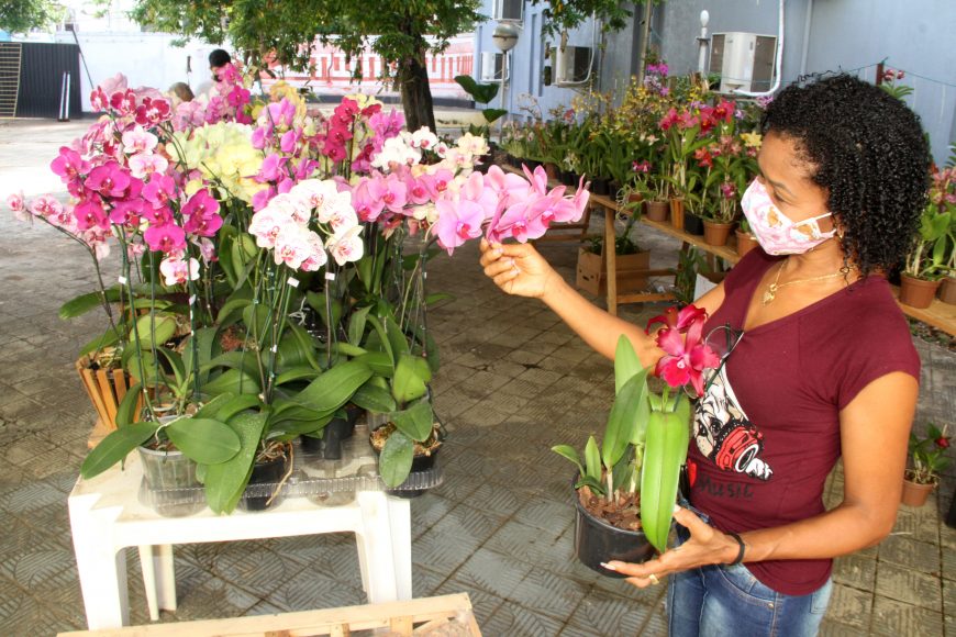 ESPÉCIES RARAS - Exposição de orquídeas está aberta à visitação na Casa da Cultura Ivan Marrocos até sábado, 5 - News Rondônia