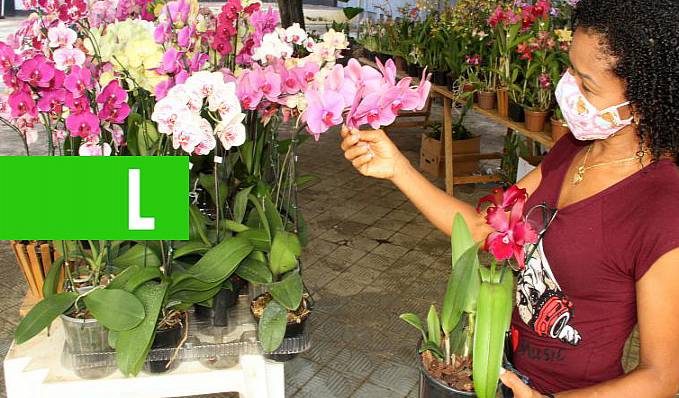 ESPÉCIES RARAS - Exposição de orquídeas está aberta à visitação na Casa da Cultura Ivan Marrocos até sábado, 5 - News Rondônia