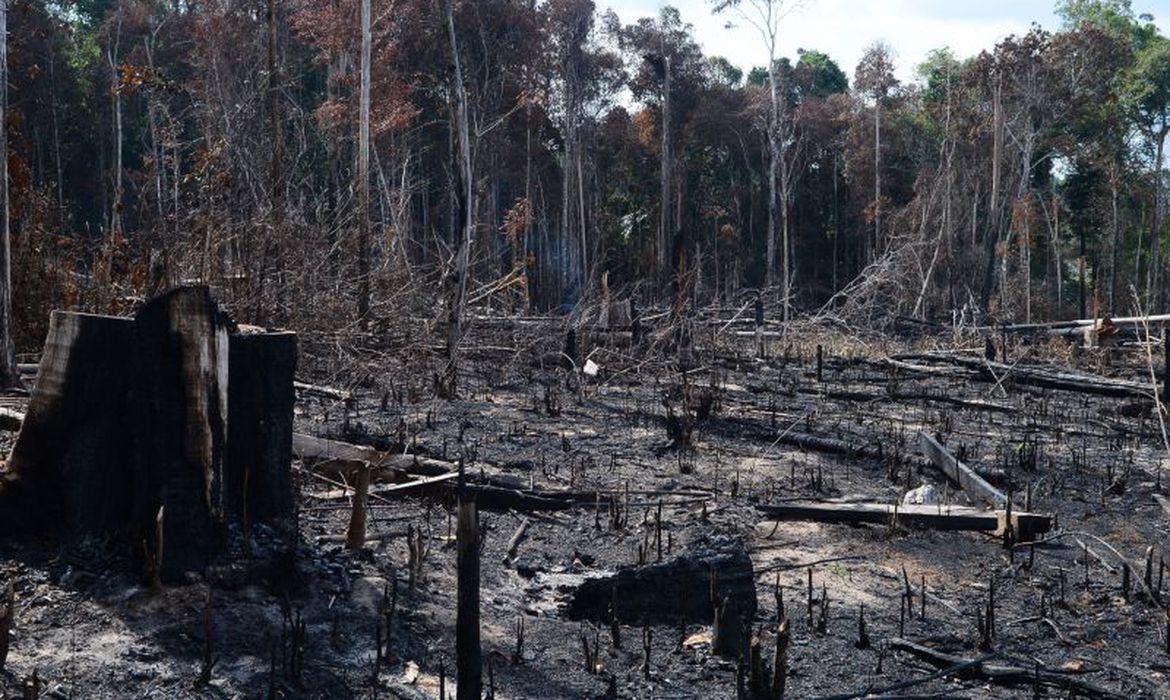 CONSELHO ANUNCIA OPERAÇÃO EM ÁREAS PROTEGIDAS DA AMAZÔNIA LEGAL - News Rondônia