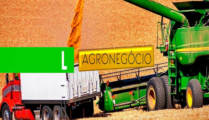 O GRANDE DESAFIO DO AGRONEGÓCIO RONDONIENSE - POR JOSÉ LUIZ ALVES - News Rondônia
