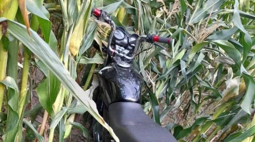 Após acionar a polícia, vítima acha moto furtada na zona rural de Cerejeiras - News Rondônia
