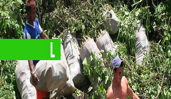 Prefeitura parabeniza agricultores pelo seu dia e comemora resultados - News Rondônia