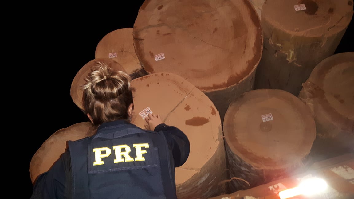 PRF APREENDE 19,25 M³ DE MADEIRA ILEGAL EM JI-PARANÁ - News Rondônia