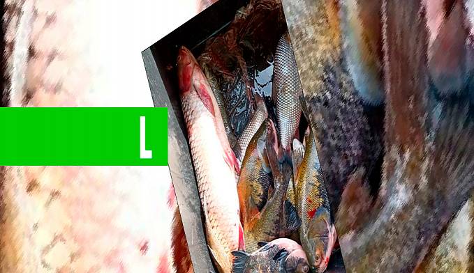 PREFEITURA RECEBE MAIS UMA DOAÇÃO COM 1.300 QUILOS DE PEIXES PARA SEREM DESTINADOS ÀS FAMÍLIAS CARENTES - News Rondônia