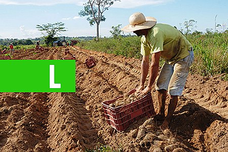 REESTRUTURAÇÃO DA EMATER-RO VISA MODERNIZAÇÃO PARA UMA ASSISTÊNCIA TÉCNICA E EXTENSÃO RURAL EFICIENTE - News Rondônia