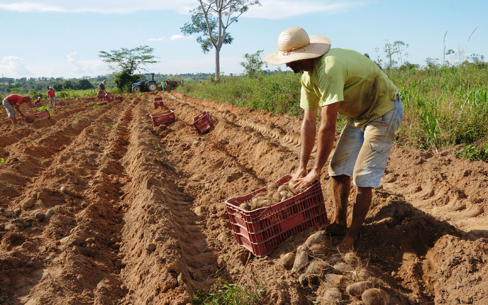 REESTRUTURAÇÃO DA EMATER-RO VISA MODERNIZAÇÃO PARA UMA ASSISTÊNCIA TÉCNICA E EXTENSÃO RURAL EFICIENTE - News Rondônia