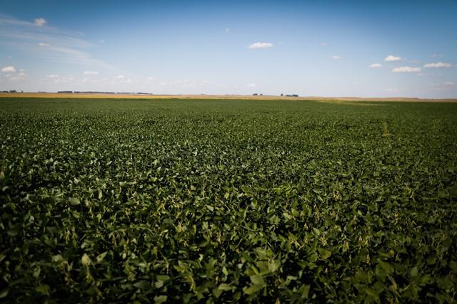 Monitoramento Agrícola da Conab indica maior quantidade de chuvas no Centro-Norte do país - News Rondônia