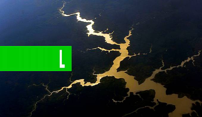 MINISTÉRIO DO MEIO AMBIENTE VAI CRIAR SECRETARIA DA AMAZÔNIA - News Rondônia
