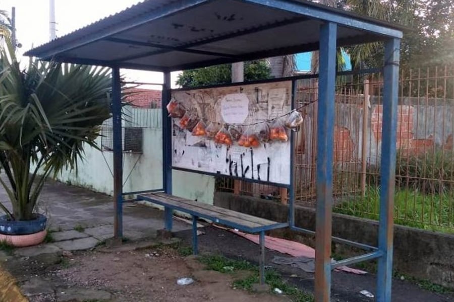Parada Solidária deixa frutas penduradas para quem tem fome: boa ideia! - News Rondônia
