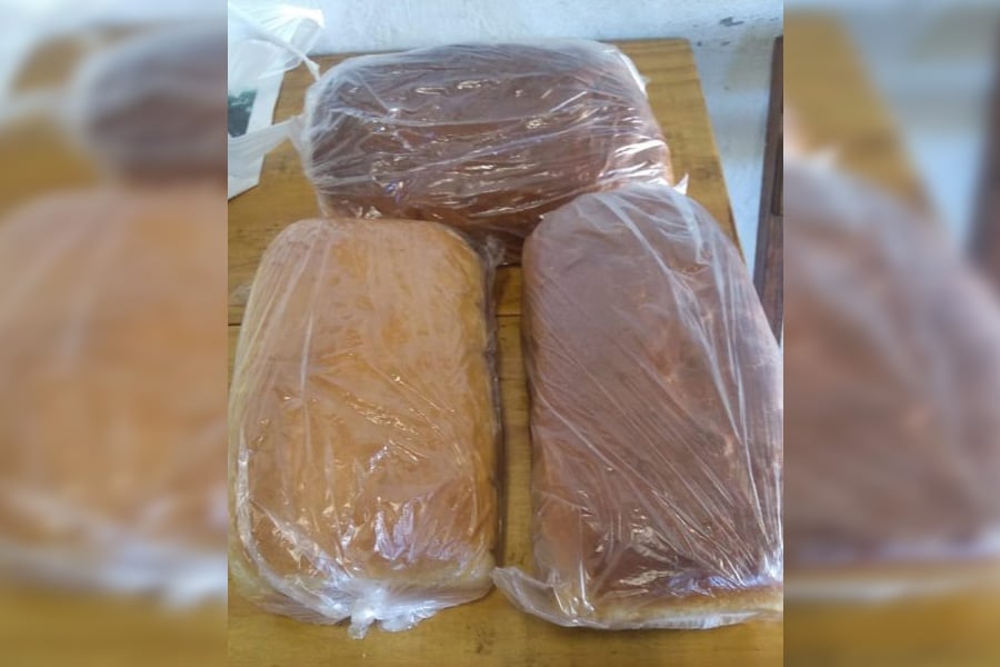 Parada Solidária deixa frutas penduradas para quem tem fome: boa ideia! - News Rondônia