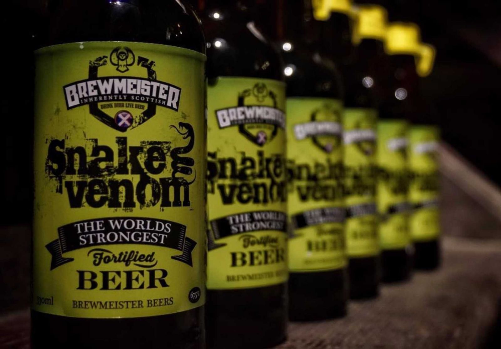 CERVEJA: 24 FATOS E CURIOSIDADES SOBRE ESSA BEBIDA SUPER POPULAR! - News Rondônia