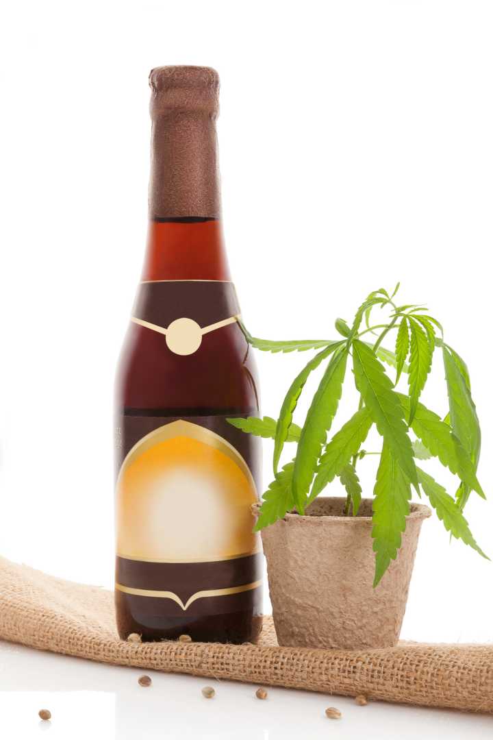 CERVEJA: 24 FATOS E CURIOSIDADES SOBRE ESSA BEBIDA SUPER POPULAR! - News Rondônia