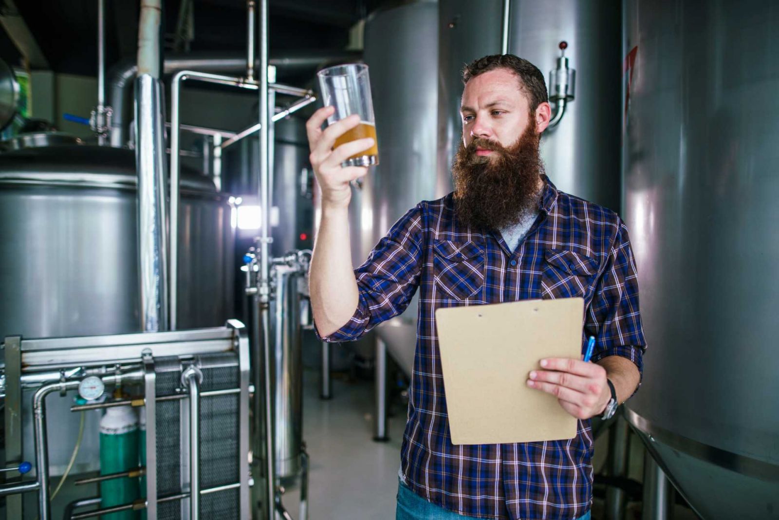 CERVEJA: 24 FATOS E CURIOSIDADES SOBRE ESSA BEBIDA SUPER POPULAR! - News Rondônia