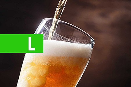 CERVEJA: 24 FATOS E CURIOSIDADES SOBRE ESSA BEBIDA SUPER POPULAR! - News Rondônia