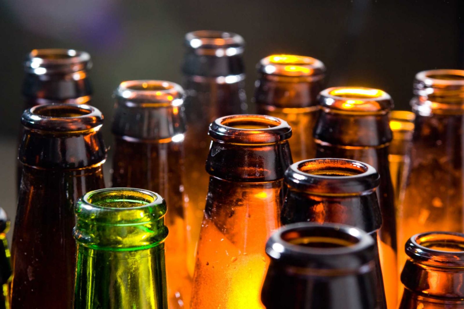 CERVEJA: 24 FATOS E CURIOSIDADES SOBRE ESSA BEBIDA SUPER POPULAR! - News Rondônia