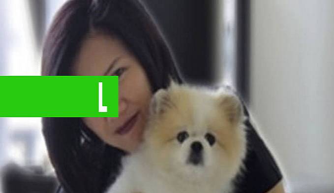 DIAGNÓSTICO: CACHORRO APRESENTA TESTE POSITIVO PARA CORONAVÍRUS - News Rondônia