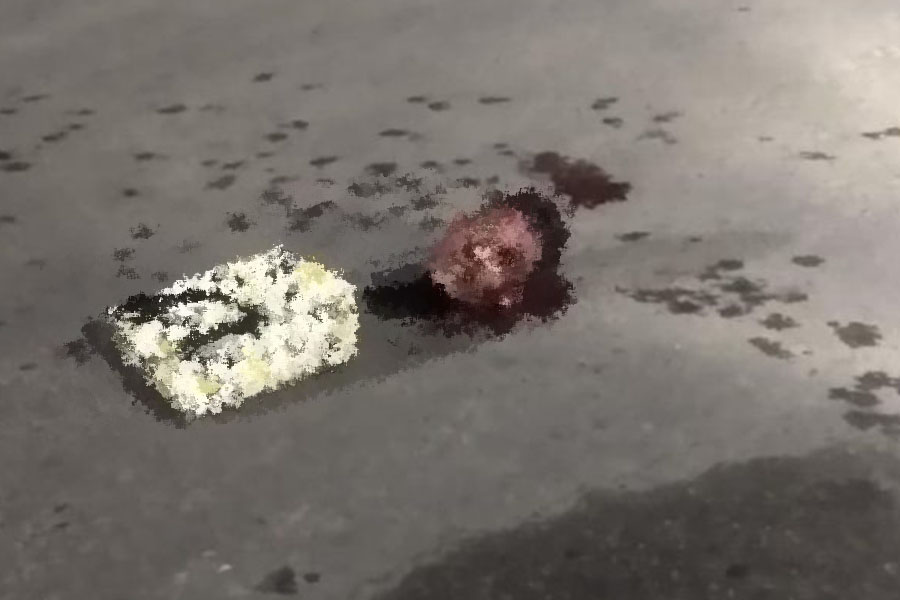 IMAGEM FORTE - Cabeça humana é jogada no meio da rua em Manaus - News Rondônia