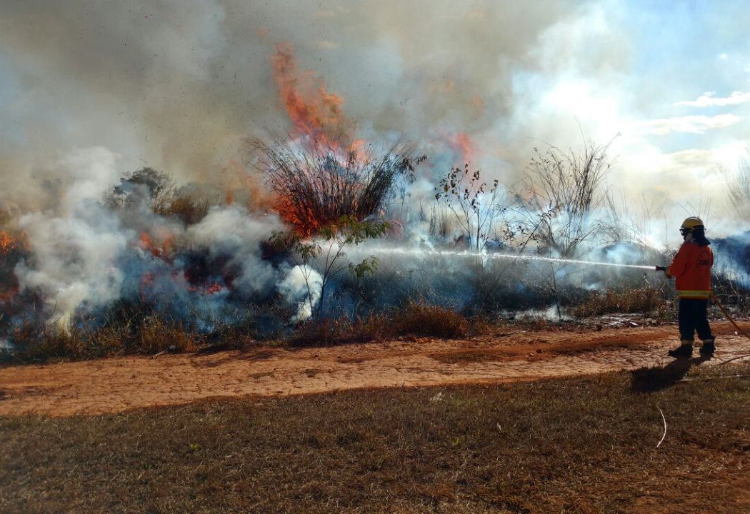 GOVERNO VAI CONTRATAR BRIGADAS FEDERAIS PARA CONTER INCÊNDIOS - News Rondônia