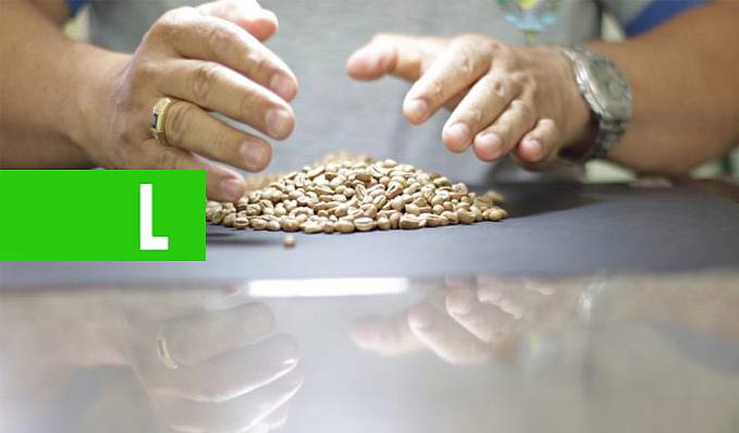 5º CONCAFÉ - Mais de 200 cafeicultores se inscreveram na 5ª edição do Concurso de Qualidade e Sustentabilidade do Café de Rondônia - News Rondônia