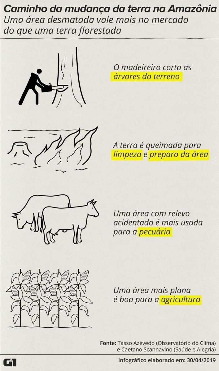 SEGUNDO IPAM, TEMPORADA DE QUEIMADAS TRARÁ MAIS DOENÇAS RESPIRATÓRIAS - News Rondônia