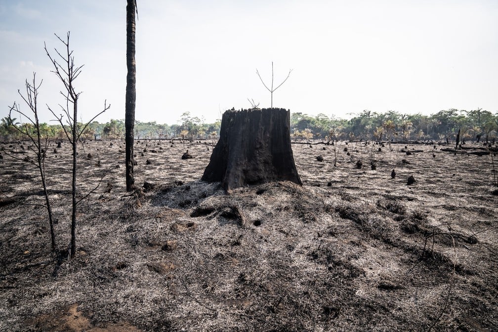 SEGUNDO IPAM, TEMPORADA DE QUEIMADAS TRARÁ MAIS DOENÇAS RESPIRATÓRIAS - News Rondônia