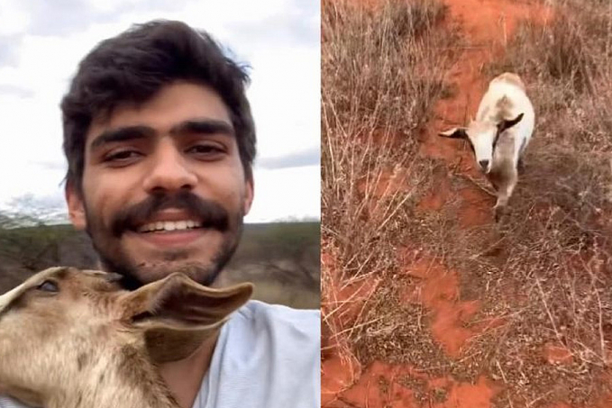 Rapaz ajuda cabritinha cega perdida no pasto e vídeo comove as redes - News Rondônia