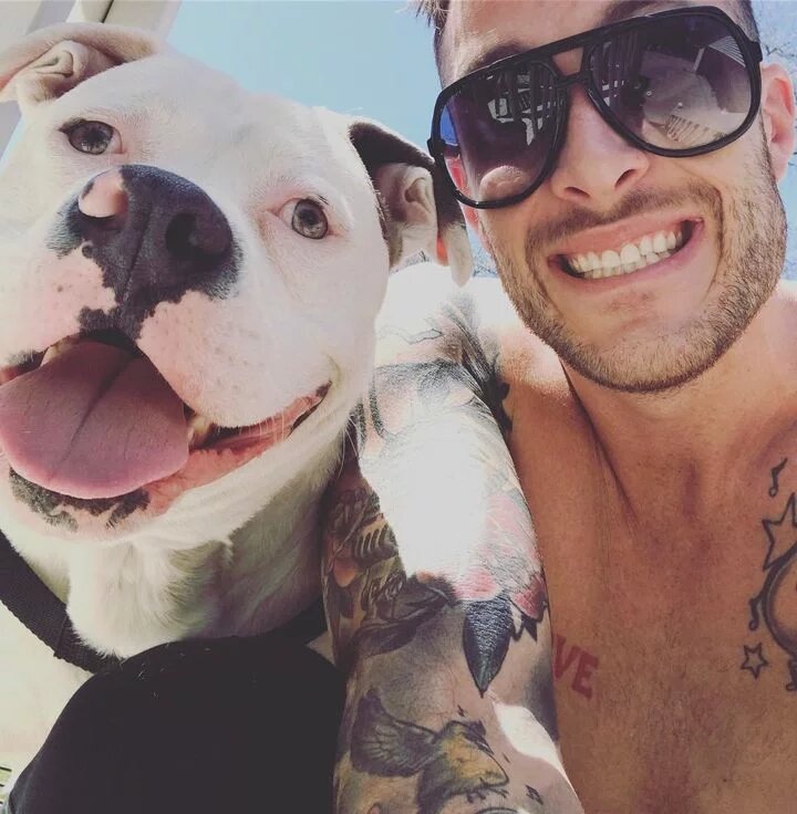 UM HOMEM PUBLICA UMA FOTO COM O SEU CÃO; A POLÍCIA VÊ E CORRE PARA A CASA DELE - News Rondônia