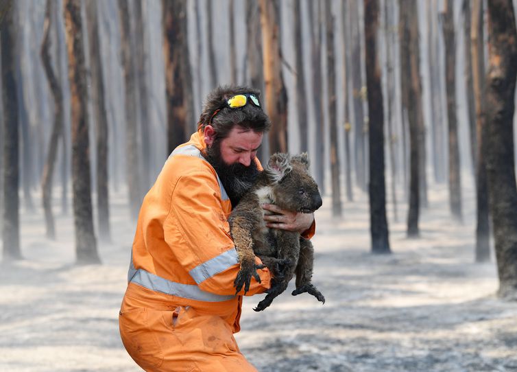 INCÊNDIO NA AUSTRÁLIA: GOVERNO ORDENA RETIRADA DE 240 MIL PESSOAS - News Rondônia
