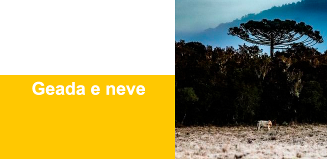 FRIO: A 'onda histórica de frio' que fará as temperaturas desabarem do Sul ao Norte do Brasil - News Rondônia