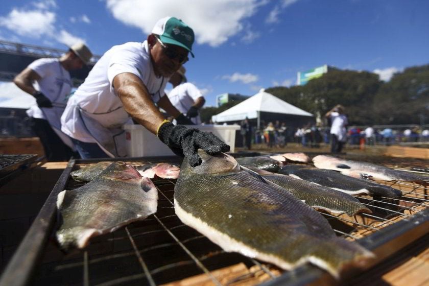 Festival do Tambaqui quer ganhar o Brasil - News Rondônia