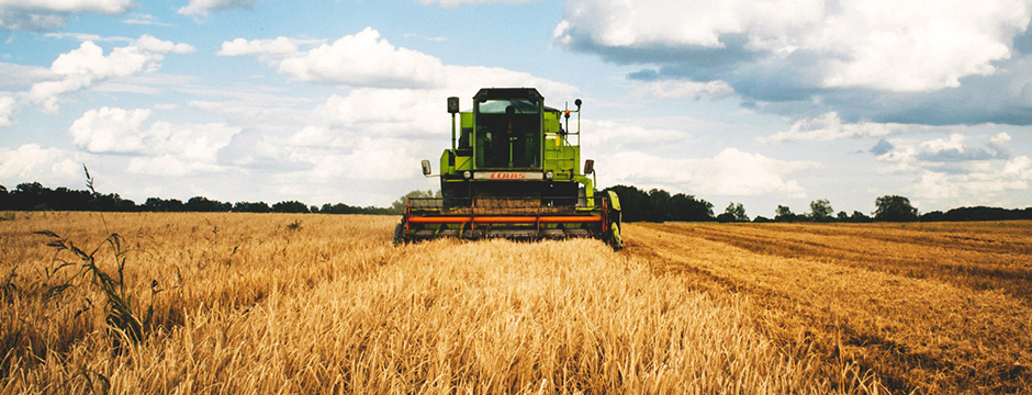 A ESPERANÇA DO AGRONEGÓCIO - POR JOSÉ LUIZ ALVES - News Rondônia