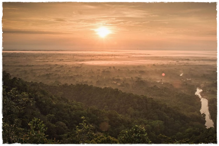 Peru descarta ter uma segunda ligação com o Brasil por terra pelo Acre; 'não é viável ao país e ao meio ambiente', diz embaixador - News Rondônia