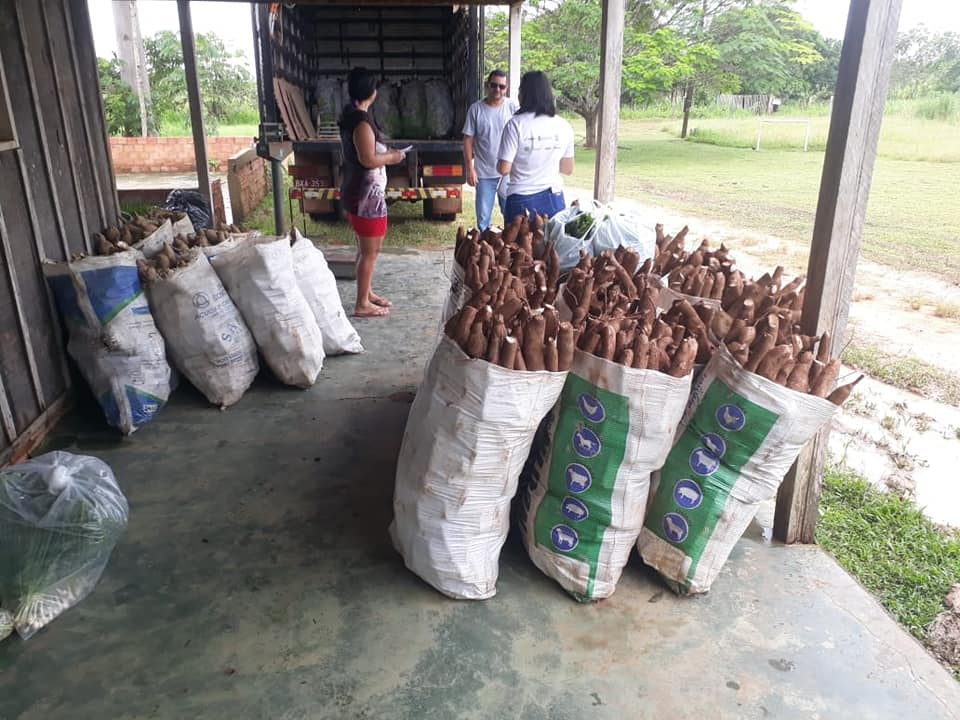 Chacareiros de olho em 2021 querem novas oportunidades pra produzir alimentos - News Rondônia