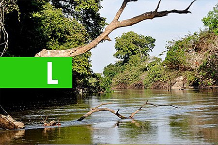 SEDAM DISCUTE REGULAMENTAÇÃO E IMPLEMENTAÇÃO DA POLÍTICA DE GOVERNANÇA CLIMÁTICA E SERVIÇOS AMBIENTAIS - News Rondônia
