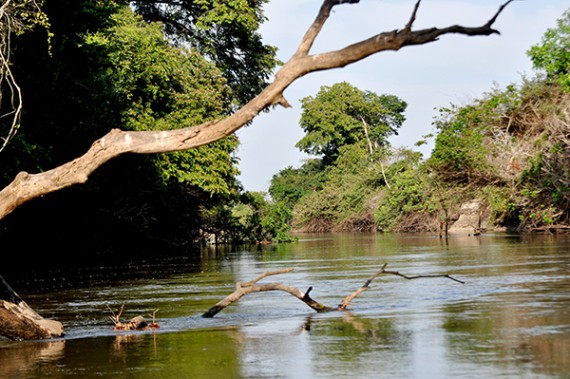 SEDAM DISCUTE REGULAMENTAÇÃO E IMPLEMENTAÇÃO DA POLÍTICA DE GOVERNANÇA CLIMÁTICA E SERVIÇOS AMBIENTAIS - News Rondônia