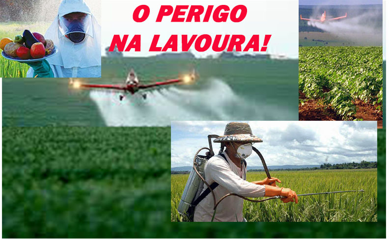 ESTAMOS COMENDO VENENO? O EXAGERO E OS PERIGOS DOS AGROTÓXICOS TAMBÉM CHEGARAM A RONDÔNIA - News Rondônia