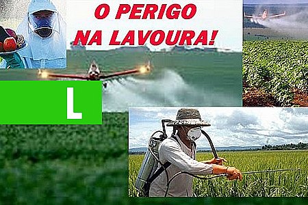 ESTAMOS COMENDO VENENO? O EXAGERO E OS PERIGOS DOS AGROTÓXICOS TAMBÉM CHEGARAM A RONDÔNIA - News Rondônia